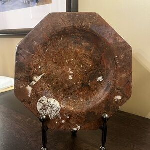 MCM Fossil Plate Sea Shell Polished Brown Ammonite Orthoceras